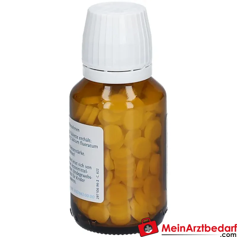 DHU Silicea Pentarkan Silicea / Calcium fluoratum Tabletten, 80 St.