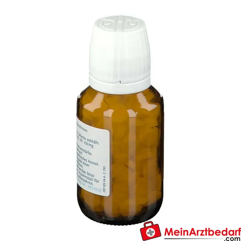 DHU Schüßler-Salz Nr. 12 Calcium sulfuricum D6 Tabletten 100 Stück