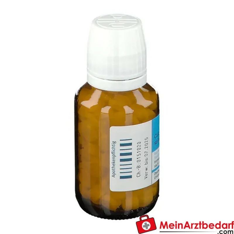 DHU Schüßler-Salz Nr. 12 Calcium sulfuricum D6 Tabletten 100 Stück
