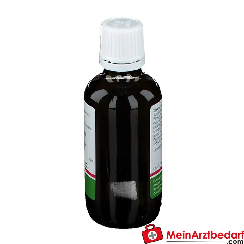 Pflügerplex Convallaria 137 H Tropfen homöopathisches Arzneimittel mit Convallaria majalis D3