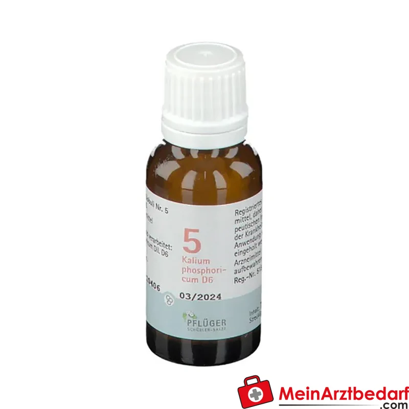 Biochemie Pflüger Nr. 5 Kalium phosphoricum D6 Globuli