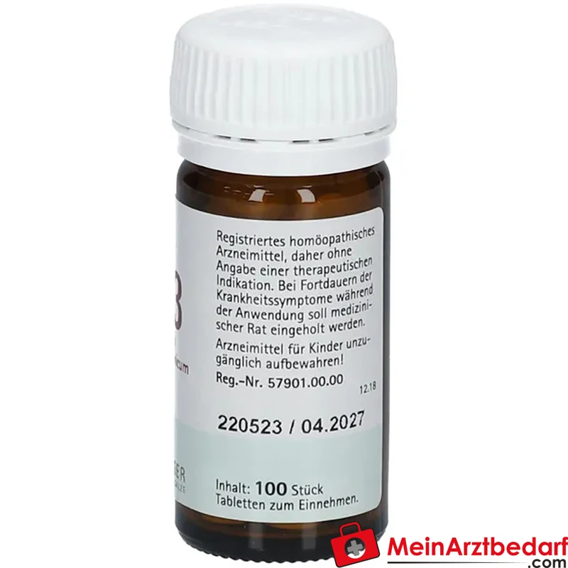 Biochemie Pflüger Nr. 23 Natrium bicarbonicum D6 Tabletten