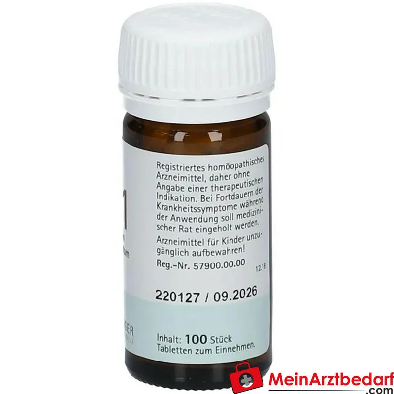 Biochemie Pflüger Nr. 21 Zincum chloratum D6 Tabletten, 400 St.