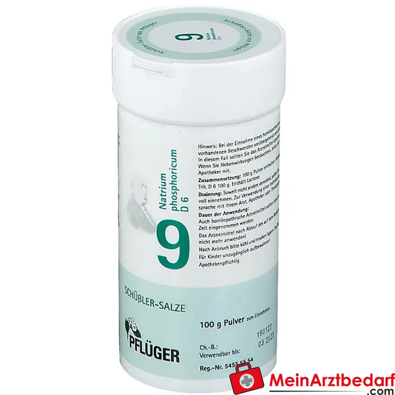 Biochemie Pflüger Nr. 9 Natrium phosphoricum D6 Pulver 100 g