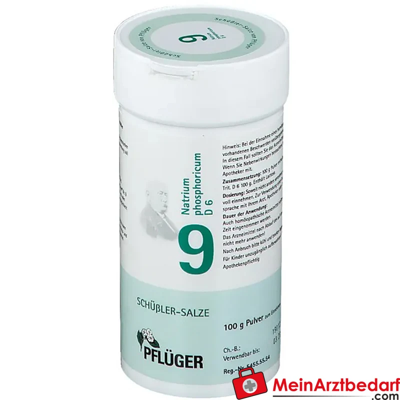 Biochemie Pflüger Nr. 9 Natrium phosphoricum D6 Pulver 100 g