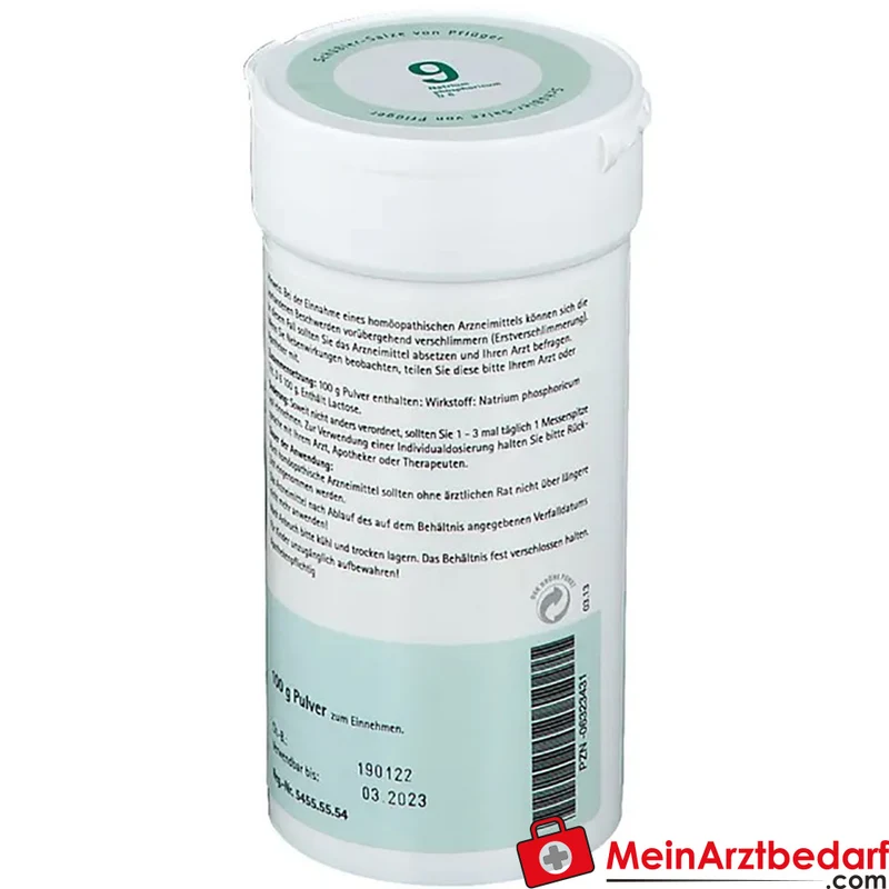 Biochemie Pflüger Nr. 9 Natrium phosphoricum D6 Pulver 100 g