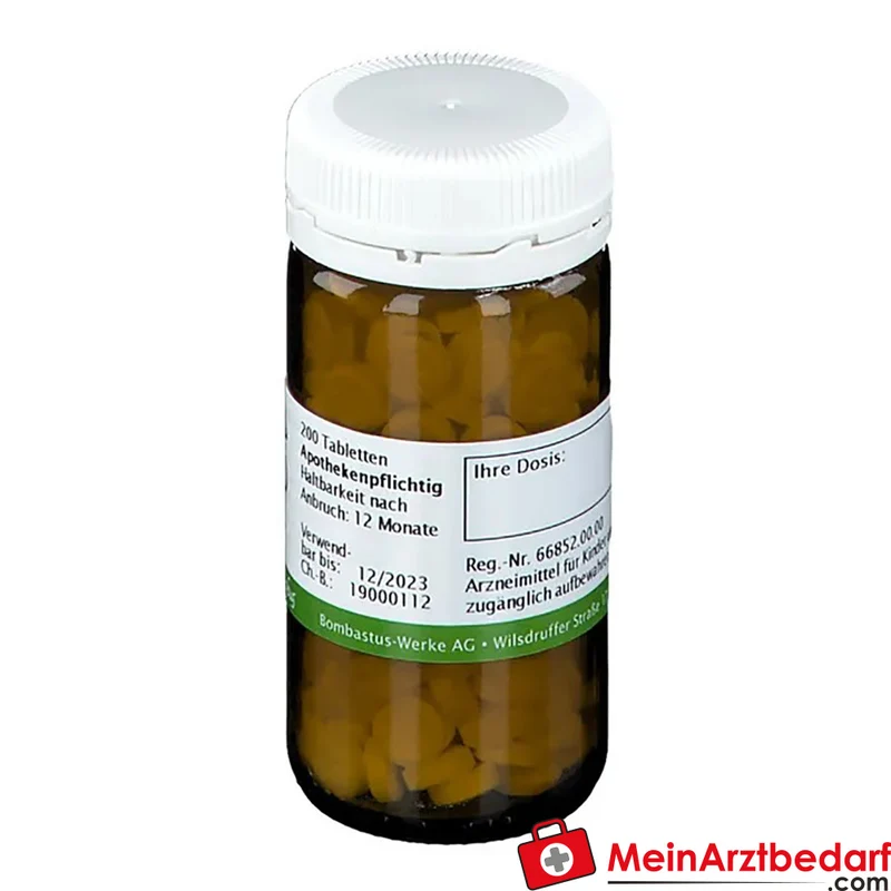 BIOCHEMIE 21 Zincum chloratum D6 Tabletten
