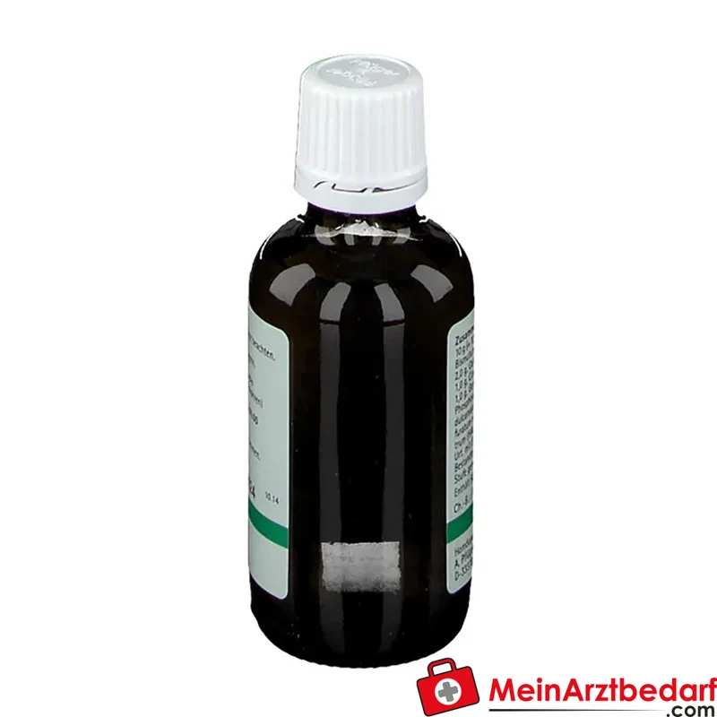Pflügerplex Bismutum 173 homöopathisches Arzneimittel
