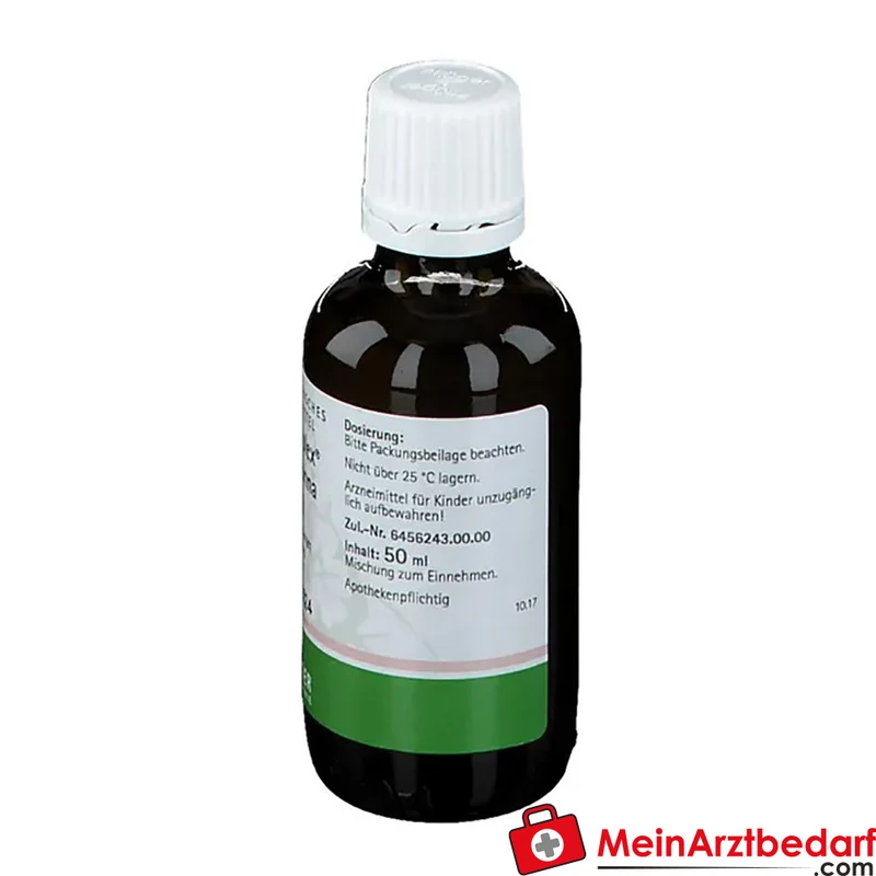 Pflügerplex Belladonna 182 (Atropa belladonna) homöopathische Tropfen
