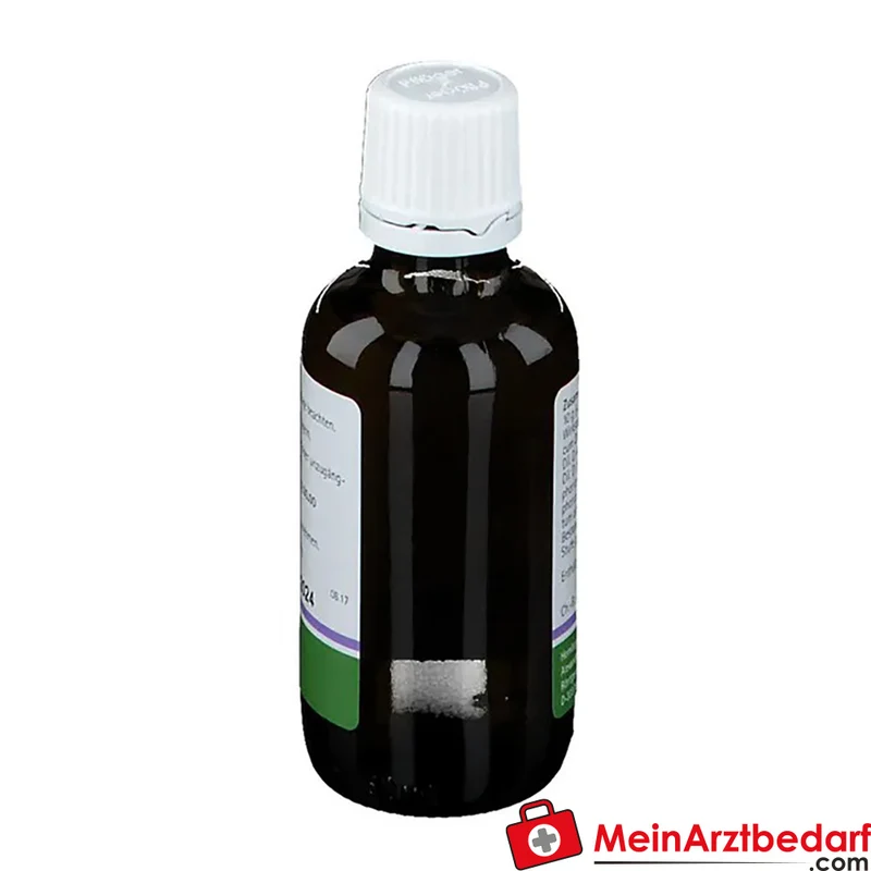Pflügerplex Asa foetida 139 H homöopathisches Arzneimittel Tropfen, Asa foetida D4