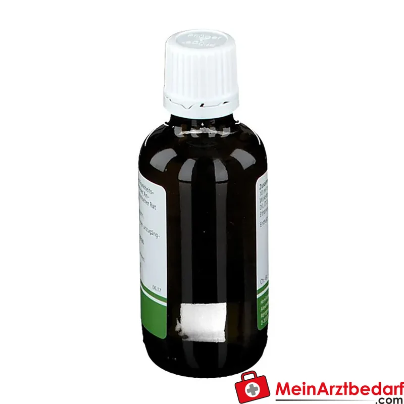 Pflüger Milchsäure Tropfen Acidum sarcolacticum D2 10 ml