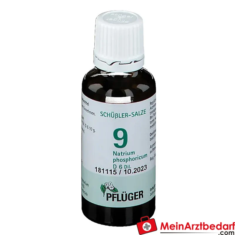 Biochemie Pflüger Nr. 9 Natrium phosphoricum D6 Tropfen 10 ml