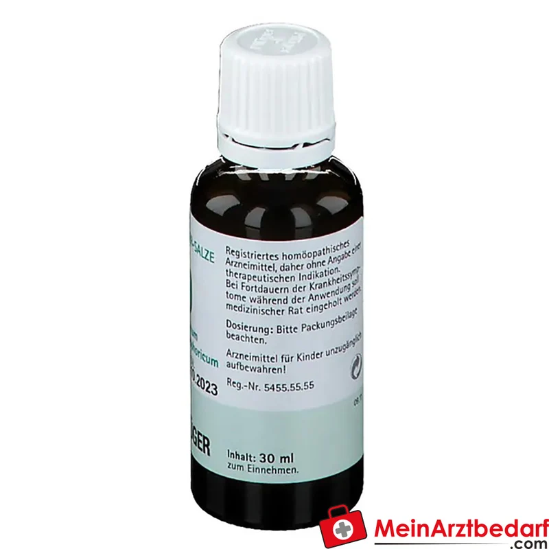 Biochemie Pflüger Nr. 9 Natrium phosphoricum D6 Tropfen 10 ml