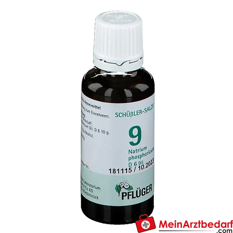 Biochemie Pflüger Nr. 9 Natrium phosphoricum D6 Tropfen 10 ml