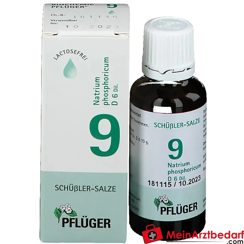 Biochemie Pflüger Nr. 9 Natrium phosphoricum D6 Tropfen 10 ml