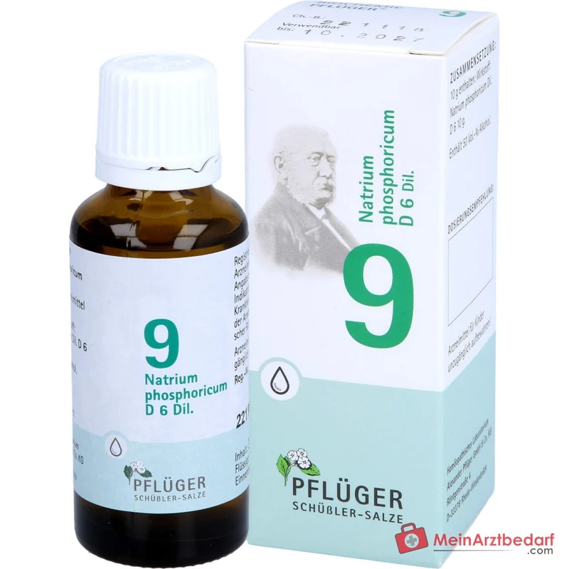 Biochemie Pflüger Nr. 9 Natrium phosphoricum D6 Tropfen 10 ml