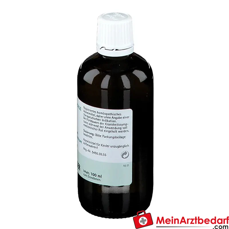 Biochemie Pflüger Nr. 9 Natrium phosphoricum D6 Tropfen 10 ml