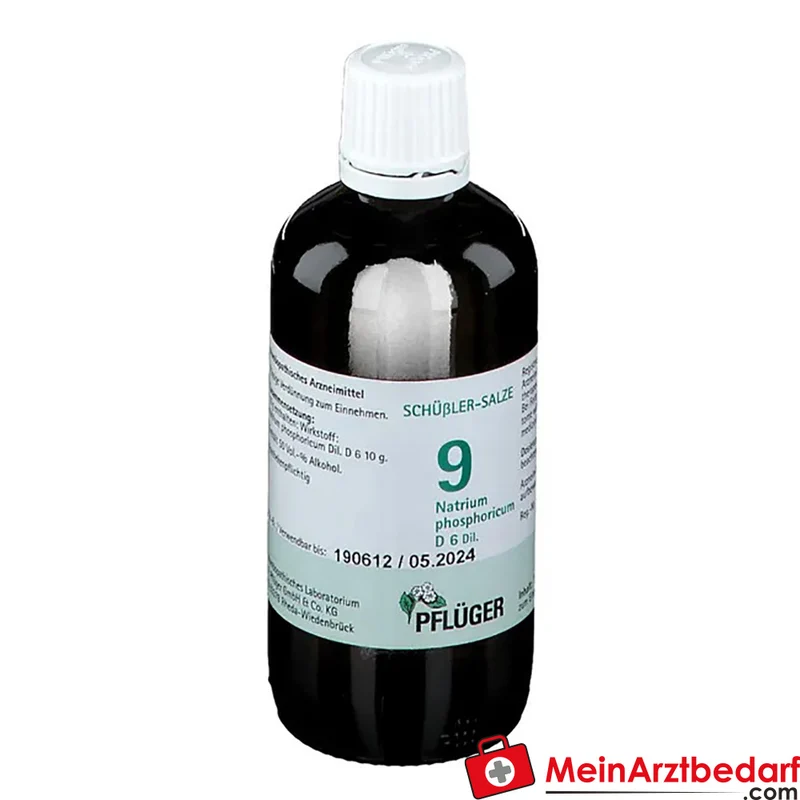 Biochemie Pflüger Nr. 9 Natrium phosphoricum D6 Tropfen 10 ml