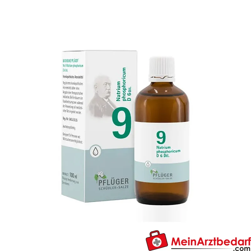 Biochemie Pflüger Nr. 9 Natrium phosphoricum D6 Tropfen 10 ml