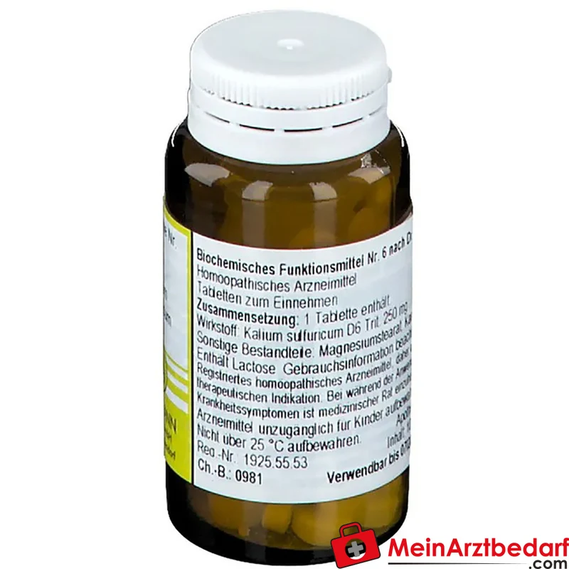 Nestmann Biochemisches Funktionsmittel Nr. 6 Kalium sulfuricum D6 Tabletten, 100 St.