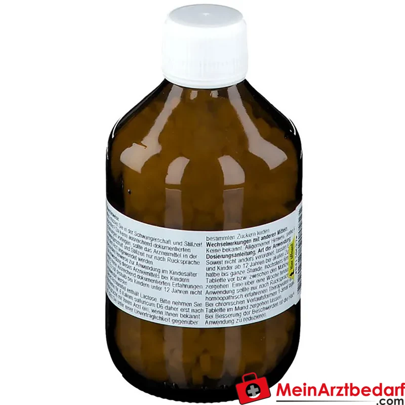 Nestmann Biochemisches Funktionsmittel Nr. 6 Kalium sulfuricum D6 Tabletten, 100 St.