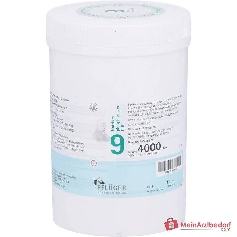 Biochemie Pflüger Nr. 9 Natrium phosphoricum D6 250 mg Tabletten 100 St