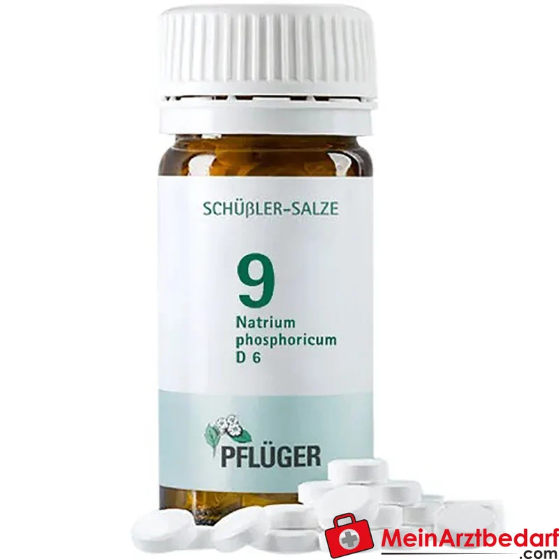 Biochemie Pflüger Nr. 9 Natrium phosphoricum D6 250 mg Tabletten 100 St