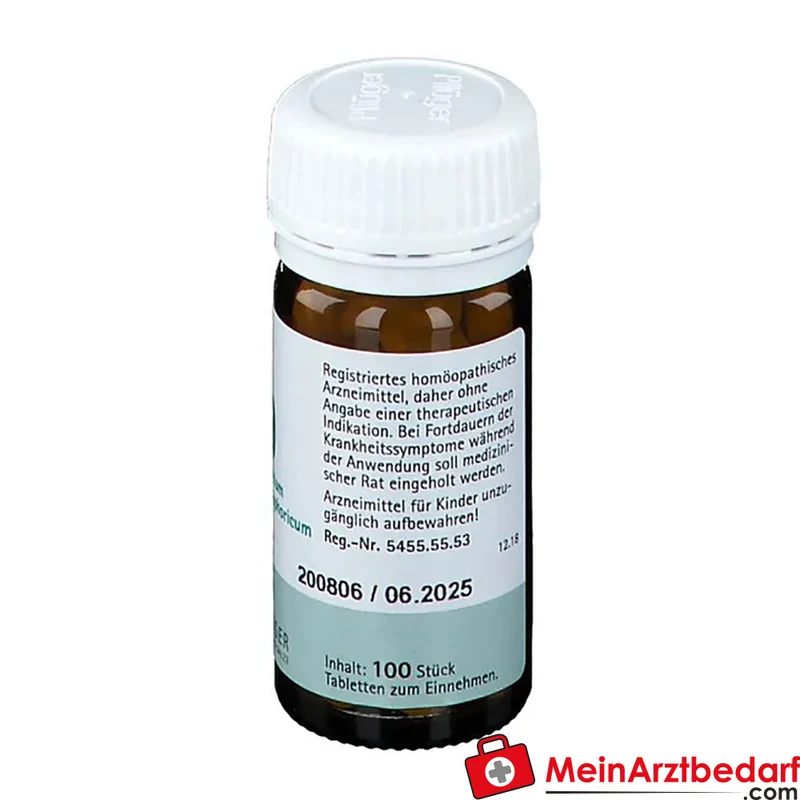 Biochemie Pflüger Nr. 9 Natrium phosphoricum D6 250 mg Tabletten 100 St