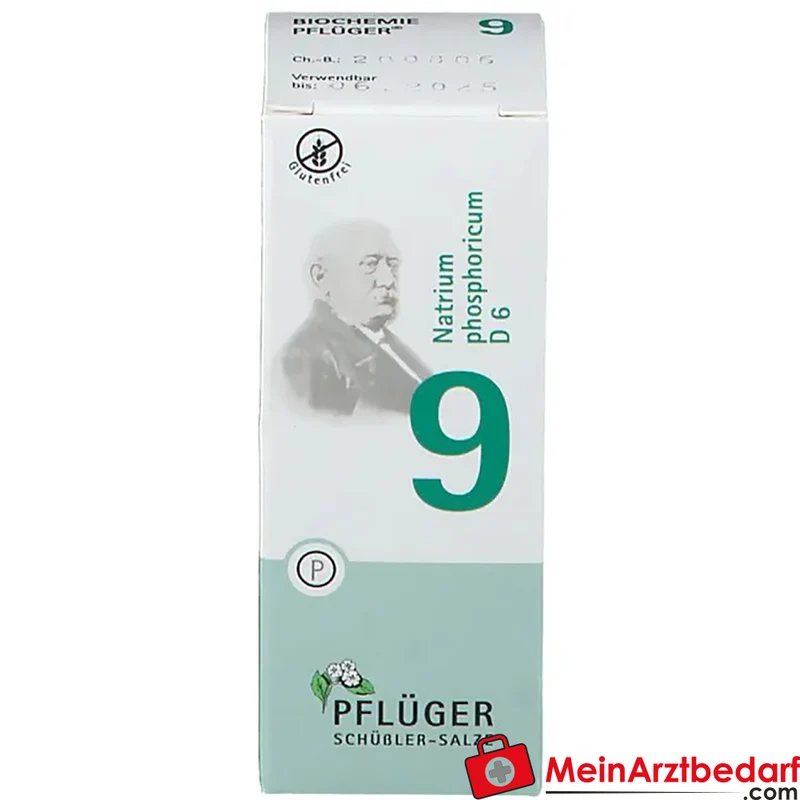 Biochemie Pflüger Nr. 9 Natrium phosphoricum D6 250 mg Tabletten 100 St
