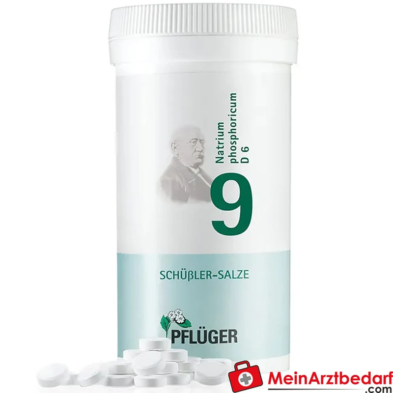 Biochemie Pflüger Nr. 9 Natrium phosphoricum D6 250 mg Tabletten 100 St