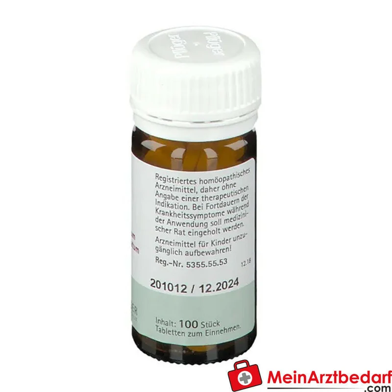 Biochemie Pflüger Nr. 8 Natrium chloratum D6 Tabletten, 100 St.