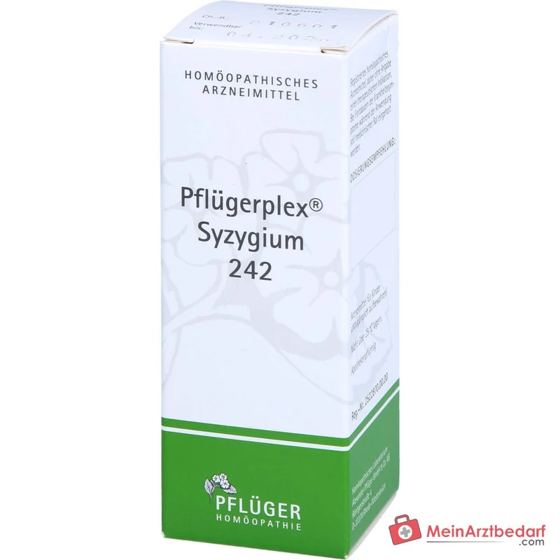 Pflügerplex Syzygium 242 Tropfen (Chionanthus virginicus D4, Syzygium cumini D2, Acidum lacticum D12) 50 ml