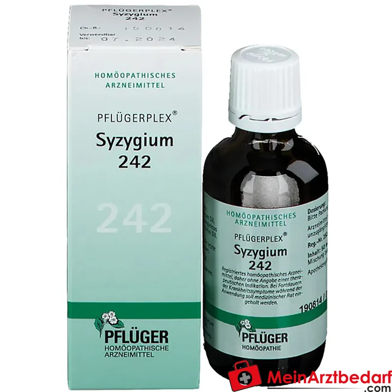 Pflügerplex Syzygium 242 Tropfen (Chionanthus virginicus D4, Syzygium cumini D2, Acidum lacticum D12) 50 ml