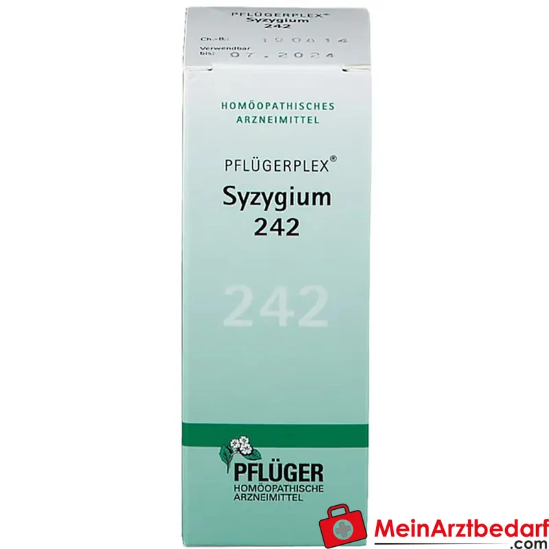 Pflügerplex Syzygium 242 Tropfen (Chionanthus virginicus D4, Syzygium cumini D2, Acidum lacticum D12) 50 ml