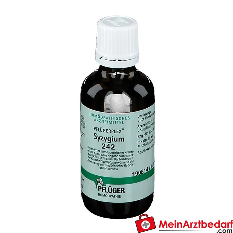 Pflügerplex Syzygium 242 Tropfen (Chionanthus virginicus D4, Syzygium cumini D2, Acidum lacticum D12) 50 ml