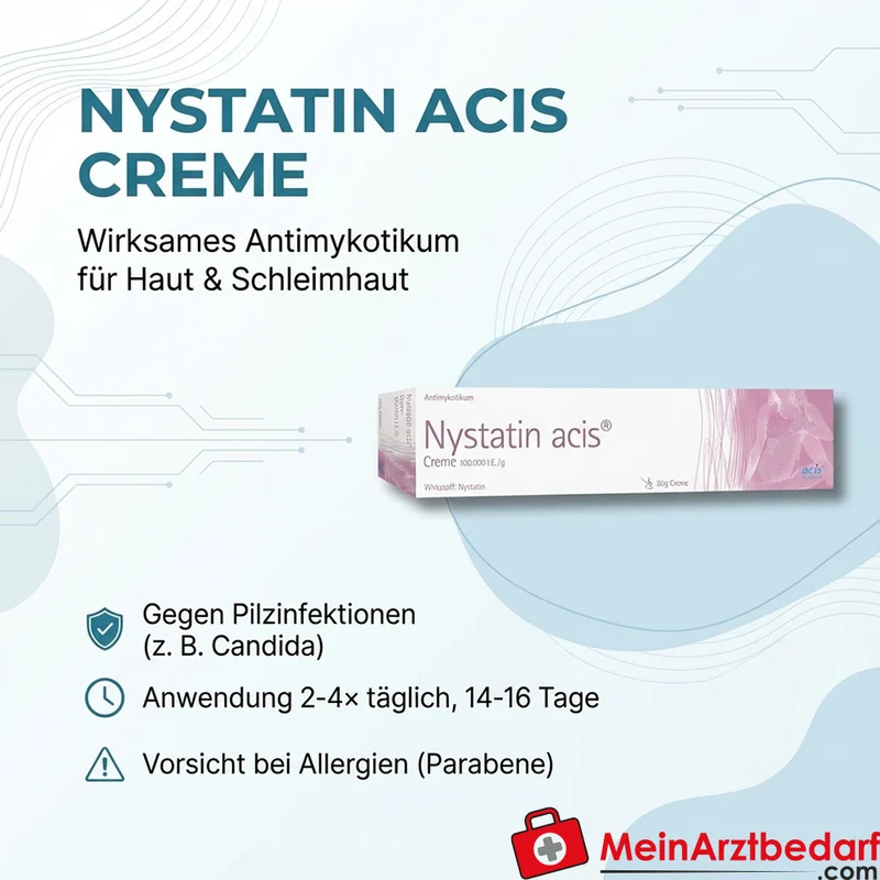 Nystatin acis Salbe 100.000 I.E./g 30 g