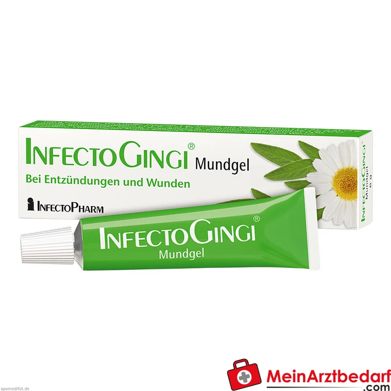 INFECTOGINGI Mundgel mit Lidocain, lokal betäubend