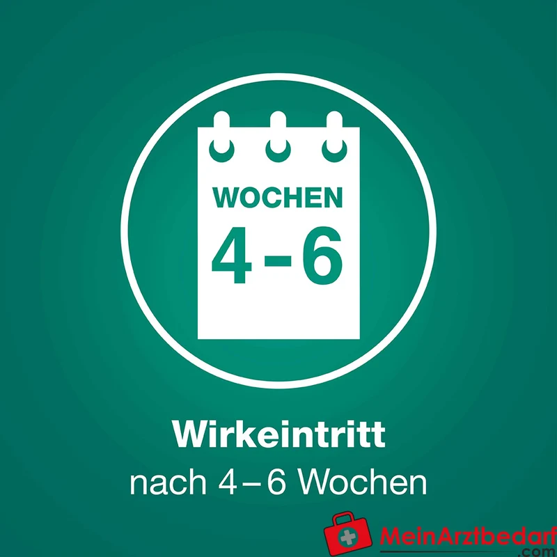 Prostagutt duo Sägepalmenfrucht-Dickextrakt / Brennnesselwurzel-Trockenextrakt Weichkapseln 160 mg/120 mg, 60 St.