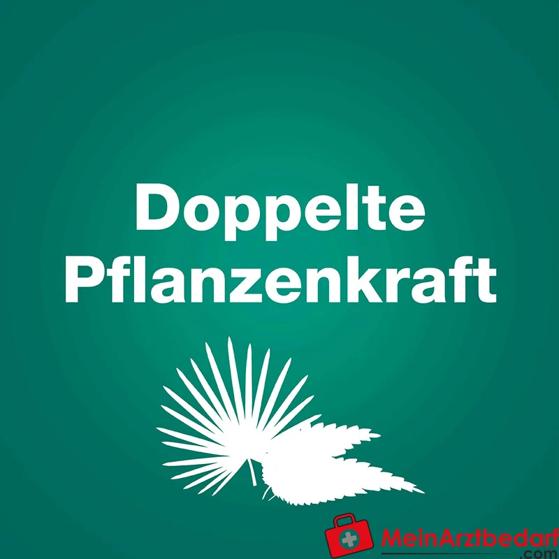 Prostagutt duo Sägepalmenfrucht-Dickextrakt / Brennnesselwurzel-Trockenextrakt Weichkapseln 160 mg/120 mg, 60 St.
