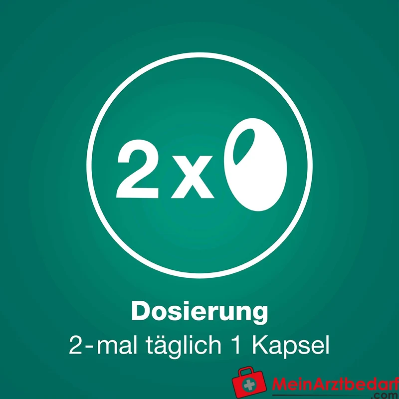 Prostagutt duo Sägepalmenfrucht-Dickextrakt / Brennnesselwurzel-Trockenextrakt Weichkapseln 160 mg/120 mg, 60 St.