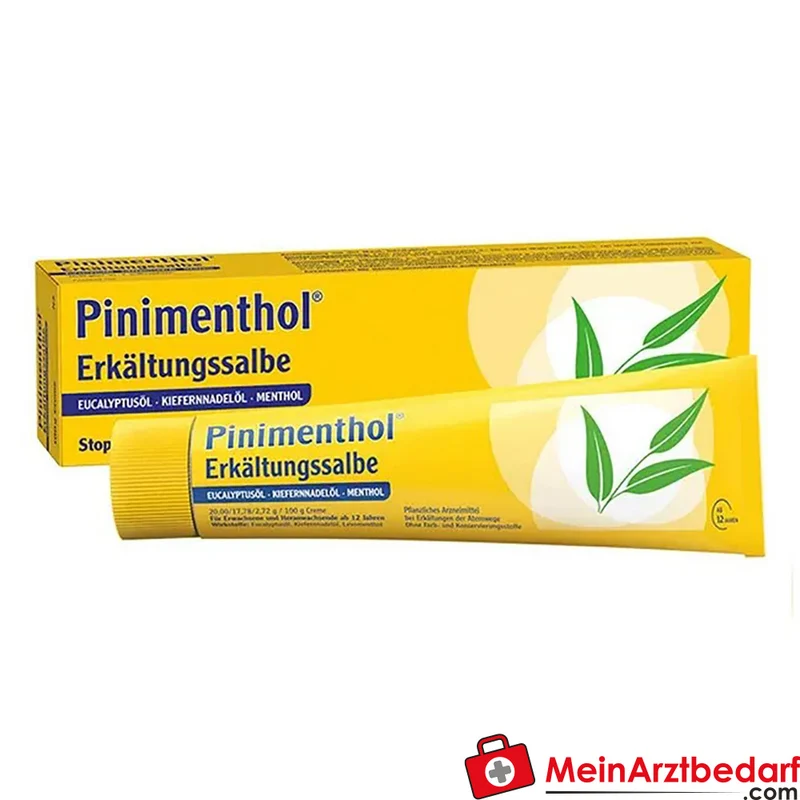Pinimenthol Erkältungssalbe 50 g