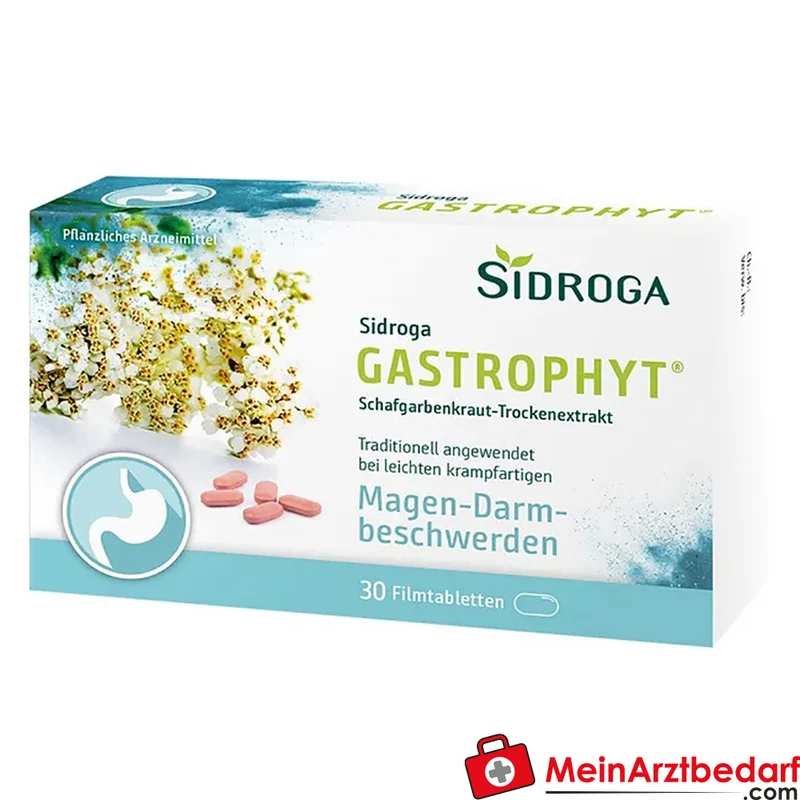 Sidroga GastroPhyt 250 mg Tabletten