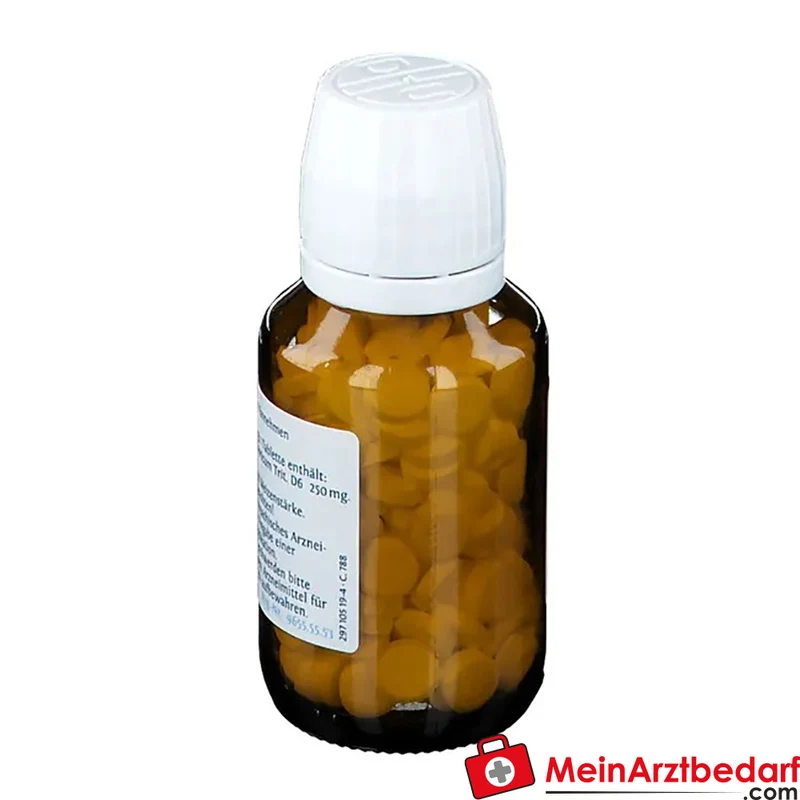 DHU Schüßler-Salz Nr. 7 Magnesium phosphoricum D6 Tabletten 200 Stück