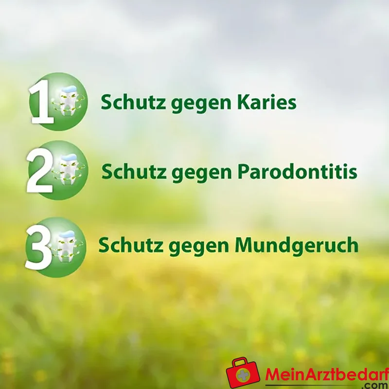 Madaus Salviagalen F Natriumfluorid medizinische Zahnpasta 75 ml