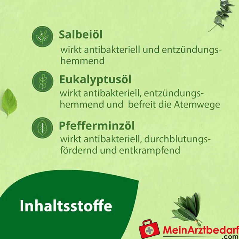 Madaus Salviagalen F Natriumfluorid medizinische Zahnpasta 75 ml