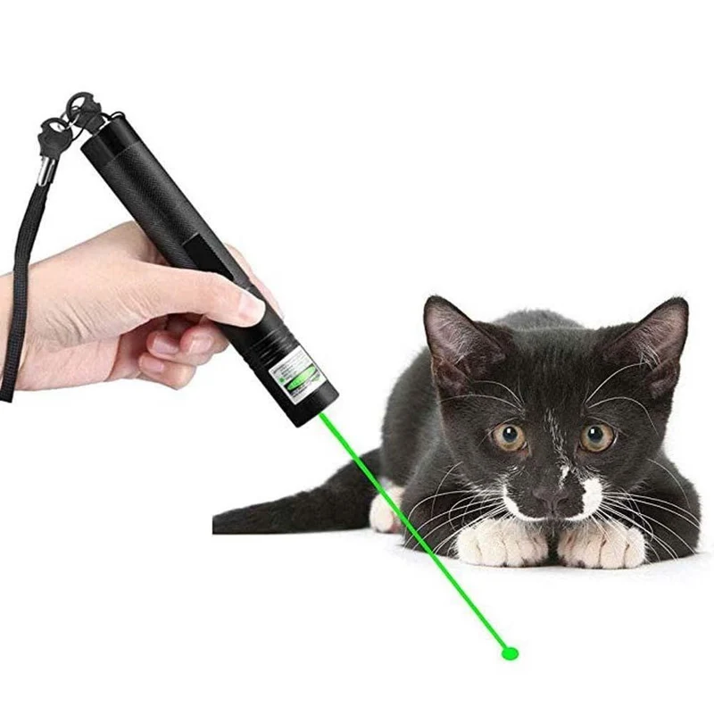 Kraftiger Langdistanzlaser - Einstellbarer Fokus