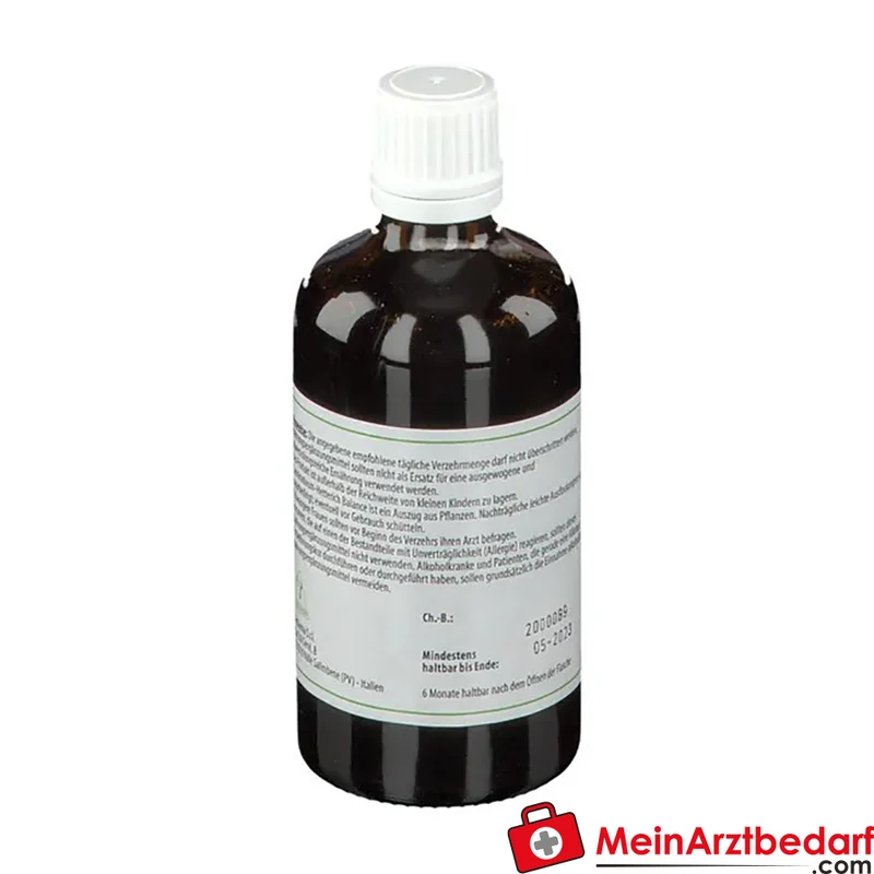 Teofarma Carminativum-Hetterich Balance pflanzliche Tropfen 100 ml