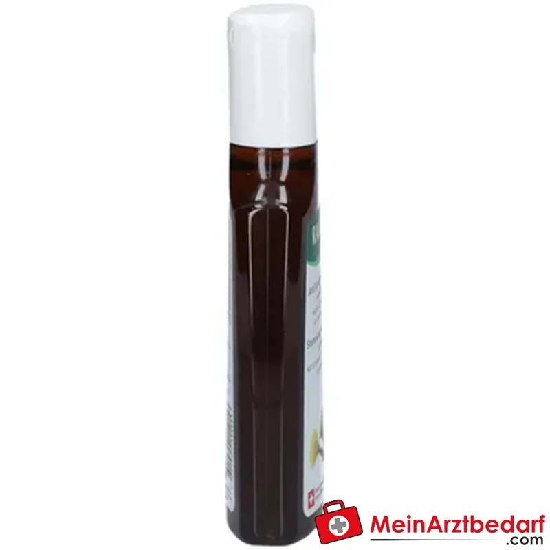 RAUSCH Anti-Schuppen Huflattich Pirocton Olamine Shampoo 200 ml