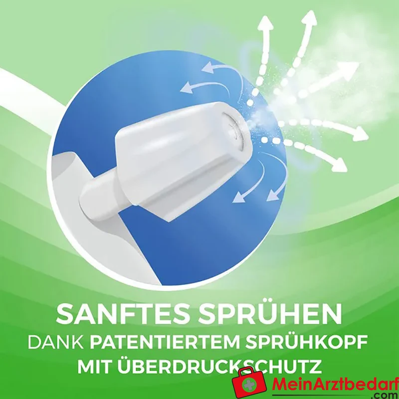 Audispray Adult Meerwasser 1000 mg Spray (hyperton) 50 ml Medizinprodukt
