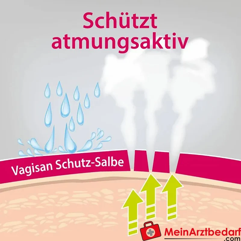 Vagisan Schutz-Salbe 75 ml Wundschutzcreme atmungsaktiv